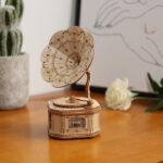 Gramophone 3D Wooden Puzzle